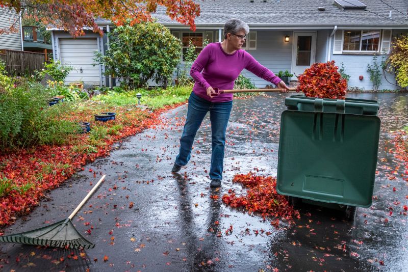 Clear, Tidy Lawn in Autumn