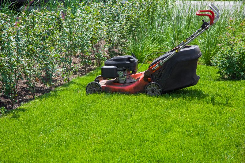 Residential Lawn Mowing detail