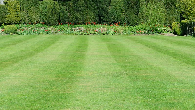 Residential Lawn Care