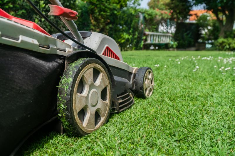 Seasonal Lawn Equipment