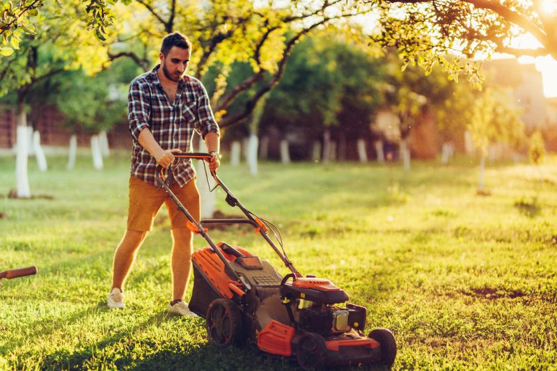 Routine Lawn Care