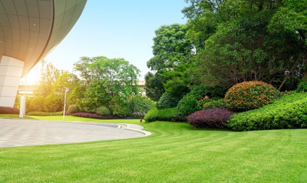 Cost of Commercial Lawn Mowing in Covington