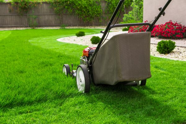 Cost of Lawn Mowing in Covington