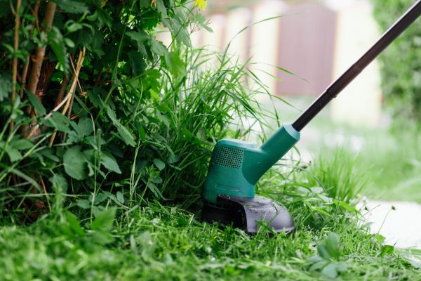 Cost of Weed Whacking in Covington