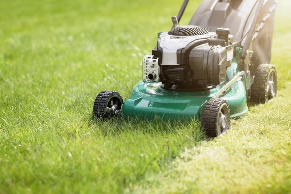 Cost of Yard Cutting in Covington