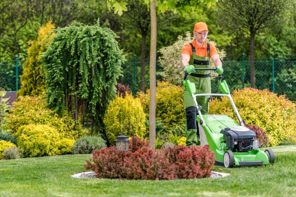 Cost of Yard Service in Covington