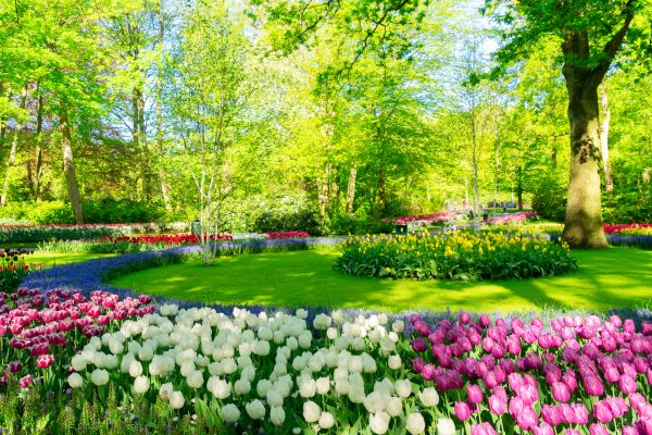 Cost of Spring Lawn Care in Covington