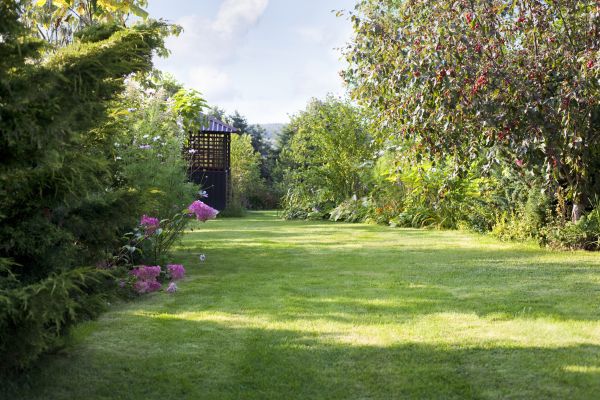 Cost of Yard Upkeep Service in Covington