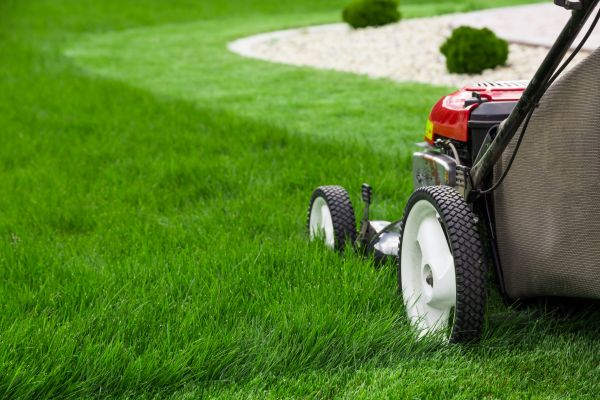 Lawn Service