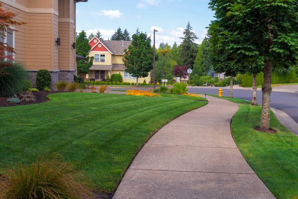 Cost of Home Lawn Maintenance in Covington