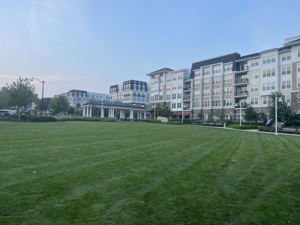 Cost of Urban Lawn Care in Covington