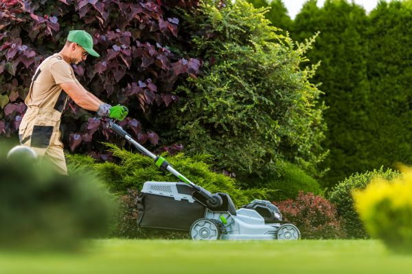 Cost of Lawn Management in Covington