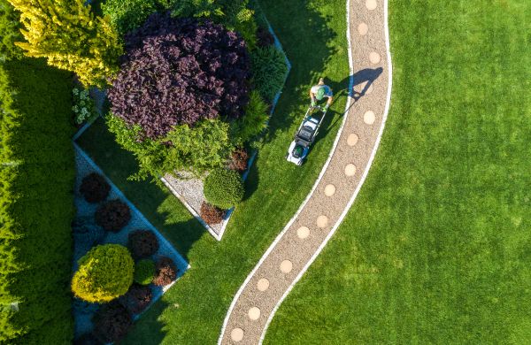 Cost of Mowing And Landscaping in Covington