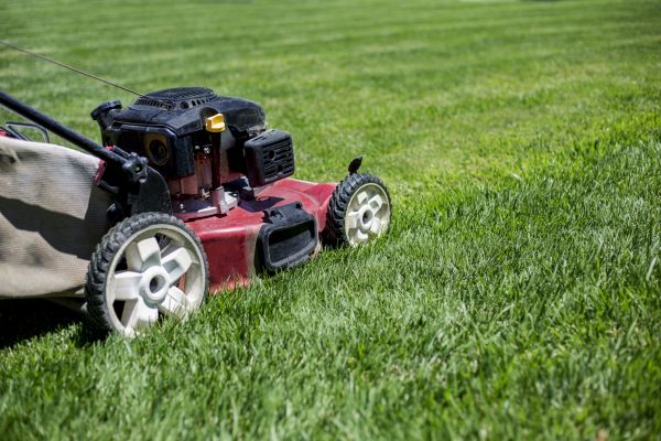Cost of Routine Lawn Care in Covington