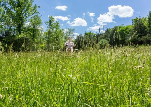 Cost of Long Grass Mowing in Covington
