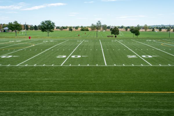 Cost of Groundskeeping Service in Covington