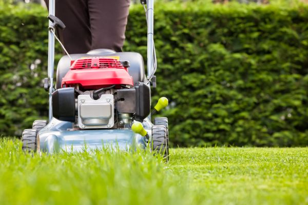 Cost of Grass Trimming Service in Covington