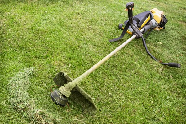 Cost of Hillside Weed Whacking in Covington