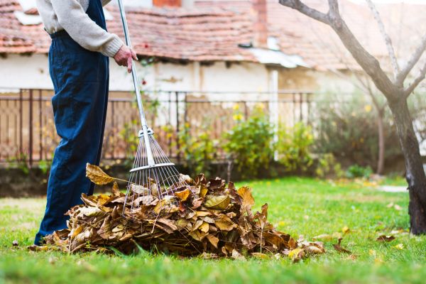 Cost of Routine Lawn Maintenance in Covington