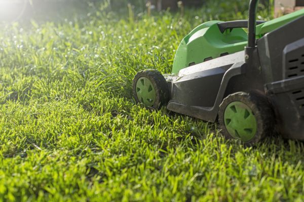 Cost of Residential Lawn Maintenance in Covington