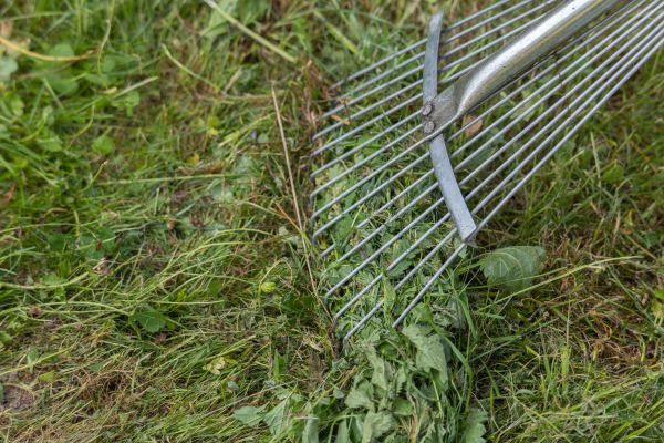 Cost of Thatch Raking in Covington