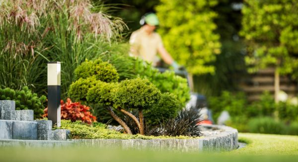 Cost of Residential Yard Maintenance in Covington