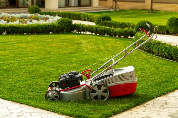 Cost of Business Grass Cutting in Covington