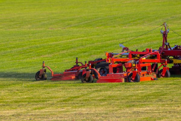 Cost of Industrial Lawn Service in Covington