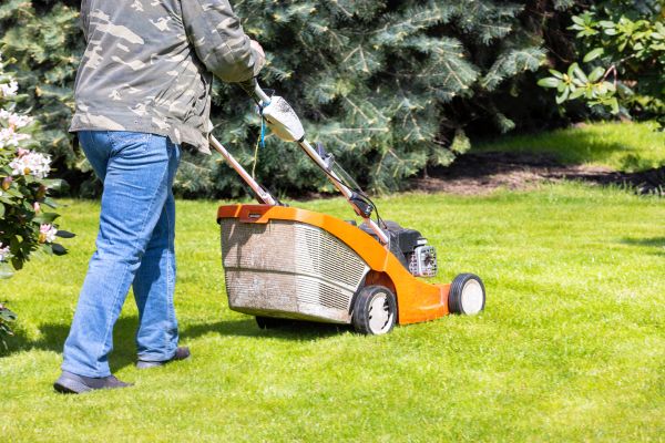 Cost of Springtime Lawn Care in Covington