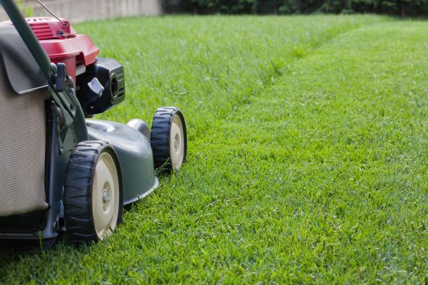 Cost of Spring Lawn Maintenance in Covington
