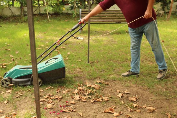 Cost of Leaves Mowing in Covington
