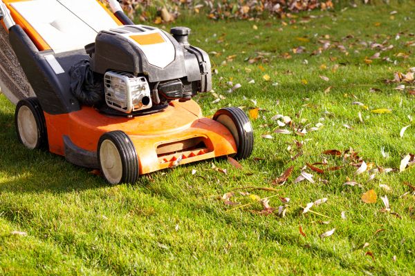Cost of Fall Mowing in Covington