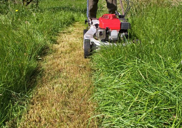 Cost of Leaf Mowing in Covington