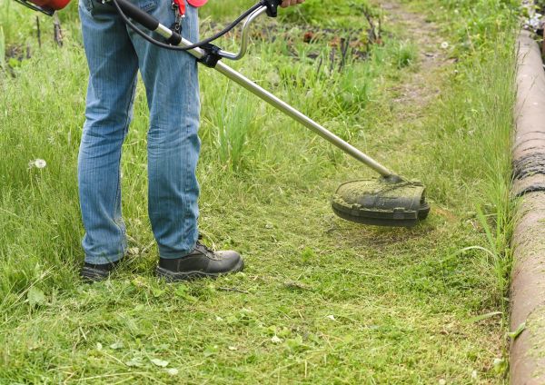 Cost of Tall Grass Trimming in Covington