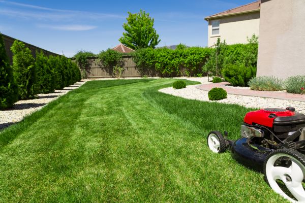 Cost of Residential Lawn Mowing in Covington
